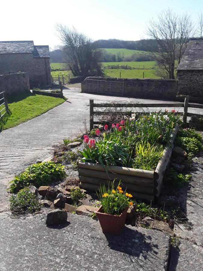 Sharlands Farm Bed And Breakfast Bude Εξωτερικό φωτογραφία